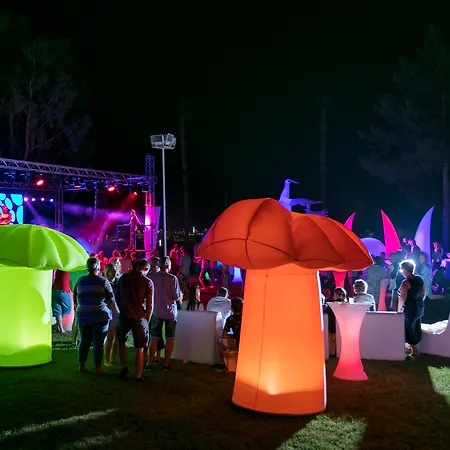 Mirage Park Resort-ultra Incl.